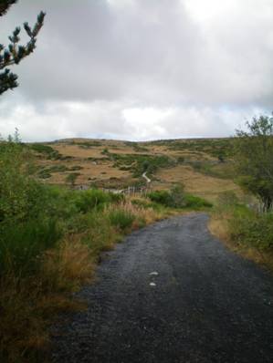 Le Chemin